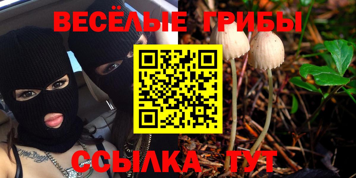 Псилоцибиновые грибы прущие грибы Рузаевка