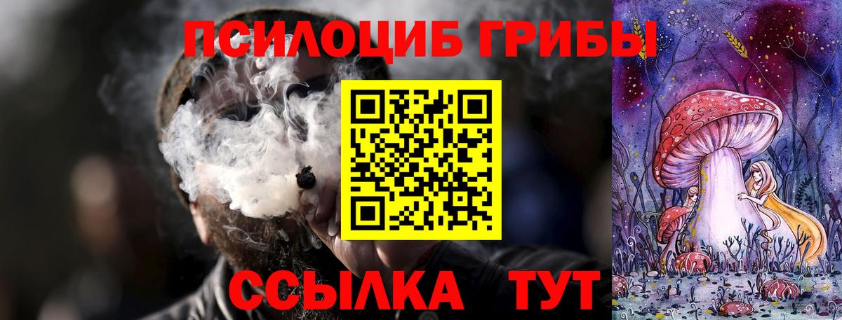 Рузаевка  Галлюциногенные грибы Psilocybe  Галлюциногенные грибы мицелий  Вход с VPN 