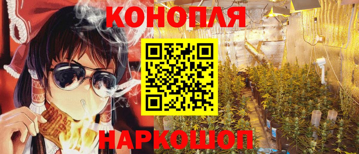 Рузаевка  Марихуана Ganja  Марихуана ГИДРОПОН  Вход с VPN  Бошки марихуана план 